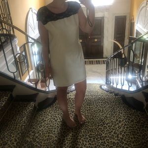 NWT Express Short Sleeved Color Block Lace Dress